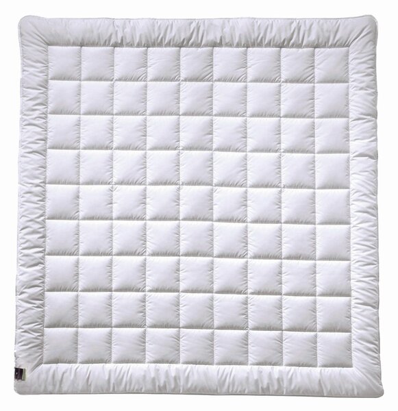 CELOROČNÁ PRIKRÝVKA, 200/200 cm, polyester Billerbeck - Prikrývky & vankúše