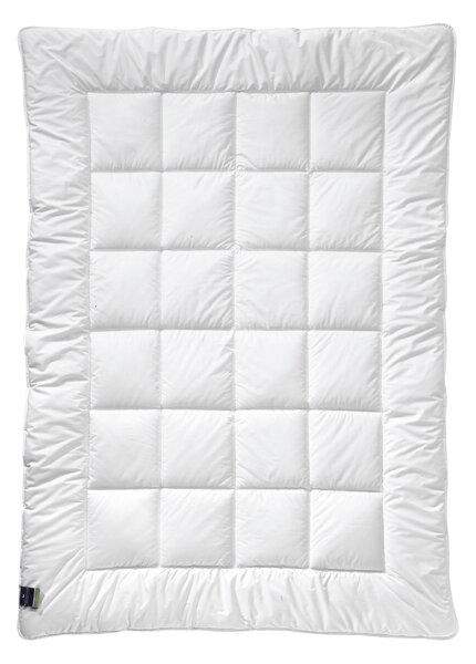 CELOROČNÁ PRIKRÝVKA, 135/200 cm, polyester Billerbeck - Prikrývky & vankúše