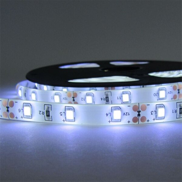 ECOLIGHT LED pásik - SMD 2835 - 5m - 60LED/m - 4,8 W/m - IP65 - studená biela