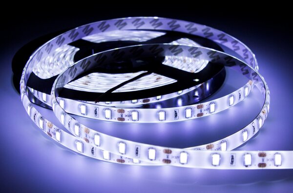 ECOLIGHT LED pásik - SMD 5630 - 5m - 60LED/m - 18W/m - IP65 - studená biela