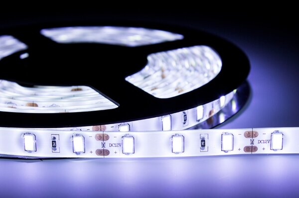 ECOLIGHT LED pásik - SMD 5630 - 5m - 60LED/m - 18W/m - IP65 - studená biela
