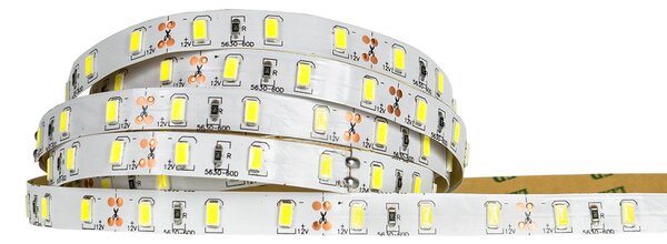 ECOLIGHT LED pásik - SMD 5630 - 5m - 60LED/m - 18W/m - IP65 - studená biela