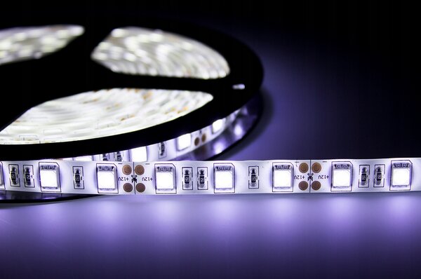 ECOLIGHT LED pásik - SMD 5050 - 5m - 60LED/m - 14,4W/m - studená biela