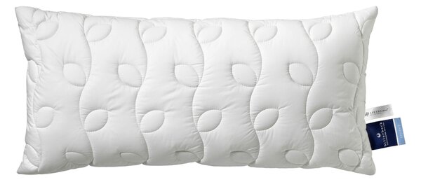 VANKÚŠ POD HLAVU, 40/80 cm Billerbeck - Prikrývky & vankúše