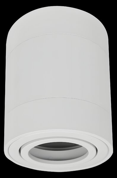 ECOLIGHT Halogénové stropné svietidlo LED trubica GU10 Pohyblivé bodové svietidlo na prisadenú montáž