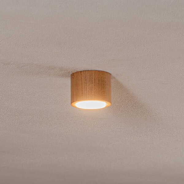 Envostar Ernest Downlight GX53 z dreva, okrúhly, Svetlé drevo, Obývacia izba / jedáleň, Drevo, Stropné svetlo