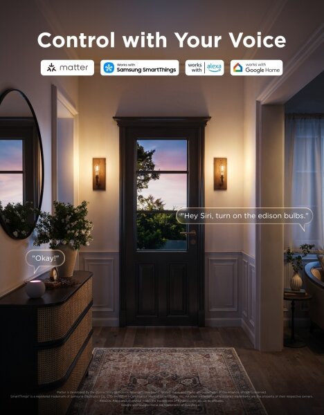 Govee - LED RGBWW Stmievateľná žiarovka Smart MATTER ST64 E27/5W/230V 2700-6500K Wi-Fi