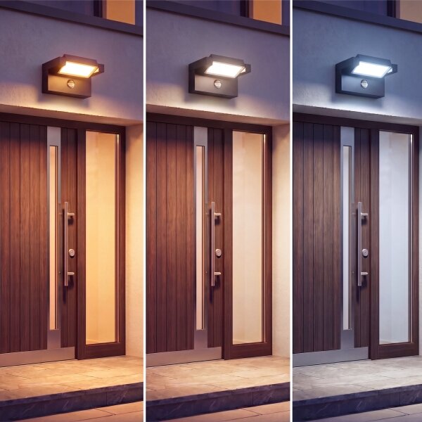 LED vonkajšie nástenné svietidlo so senzorom LED/25W/230V IP54 čierna