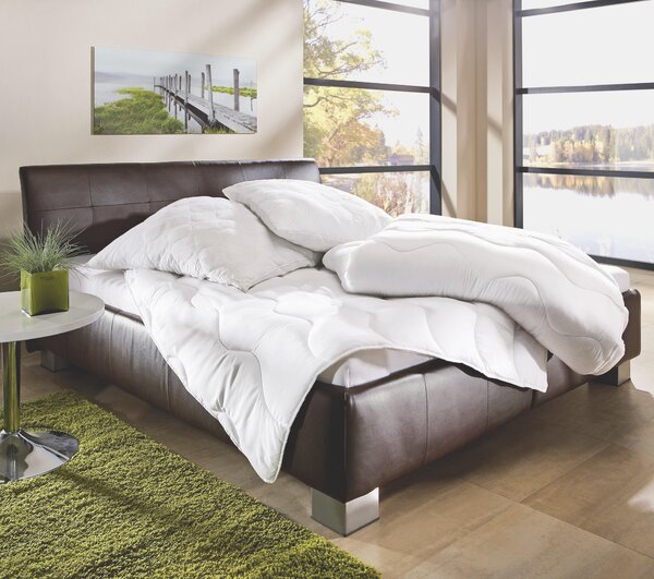 LÔŽKOVINY – SADA, polyester, 140x200/70x90 cm Boxxx - Prikrývky & vankúše