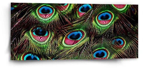 Sablio Obraz Pávie perie - 110x50 cm