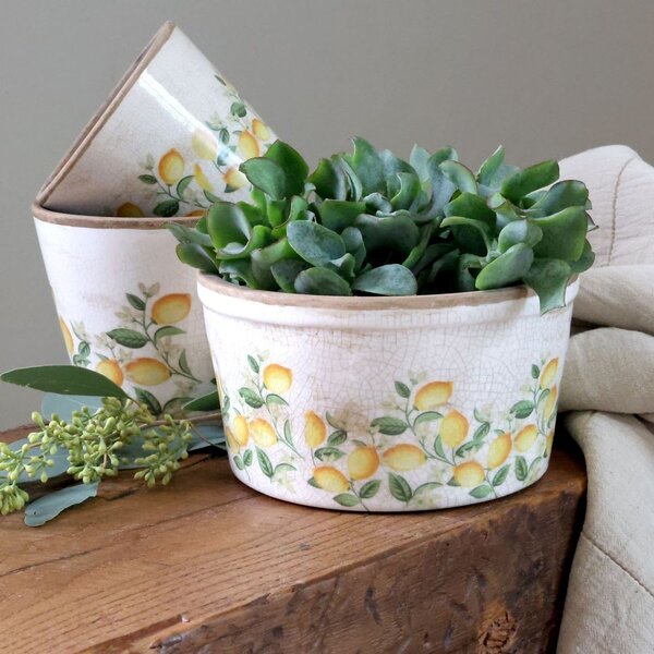 Béžový antik keramický kvetináč s citrónmi Limone Blossom - Ø 16*10 cm - Chic Antique