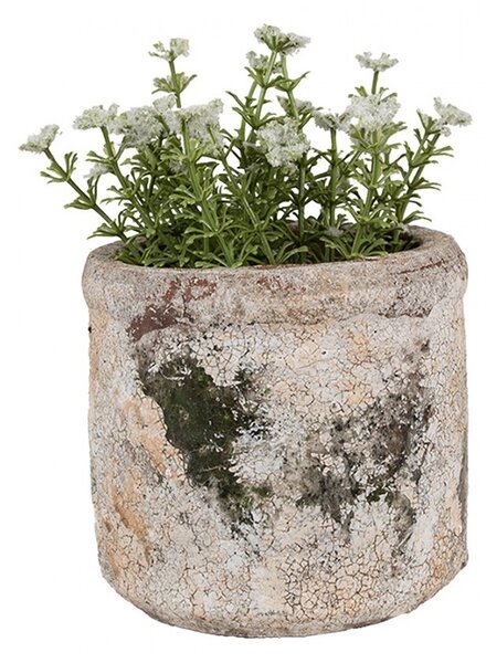 Dekoratívny béžovo-zelený antik terakotový kvetináč Teracci S - Ø 12*11 cm - Clayre & Eef