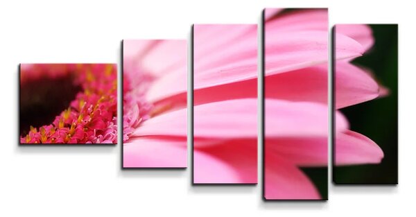 Sablio Obraz - 5-dílný Ružová gerbera - 100x60 cm