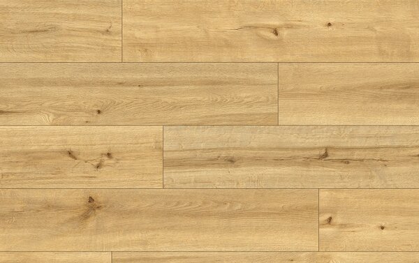 Classen Pro Nature 62536 MOCOA