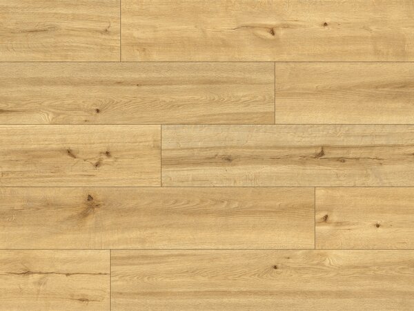 Classen Pro Nature 62536 MOCOA