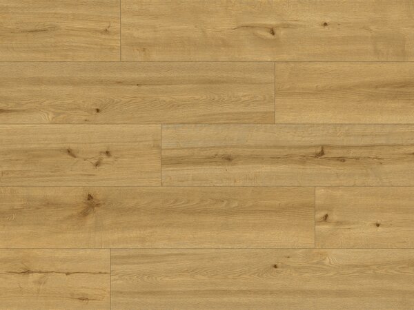 Classen Pro Nature 62543 CALDAS