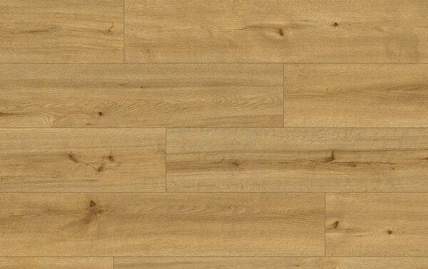 Classen Pro Nature 62543 CALDAS