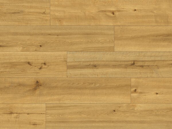 Classen Pro Nature 62538 SOLEDAD