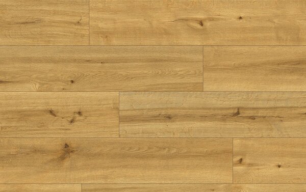 Classen Pro Nature 62538 SOLEDAD