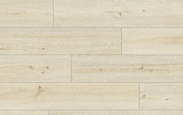 Classen Pro Nature 62540 NEIVA