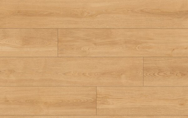 Classen Pro Nature 64632 Dub WAG