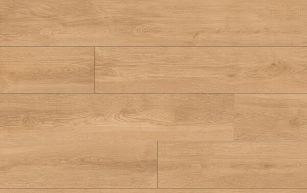 Classen Pro Nature 64636 Dub KYSUCA