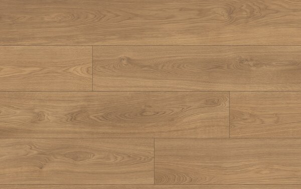 Classen Pro Nature 64637 Dub SAJO