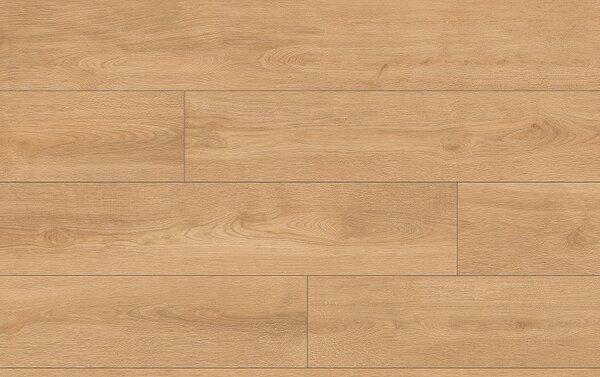 Classen Pro Nature 64636 Dub KYSUCA