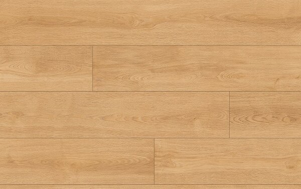 Classen Pro Nature 64632 Dub WAG