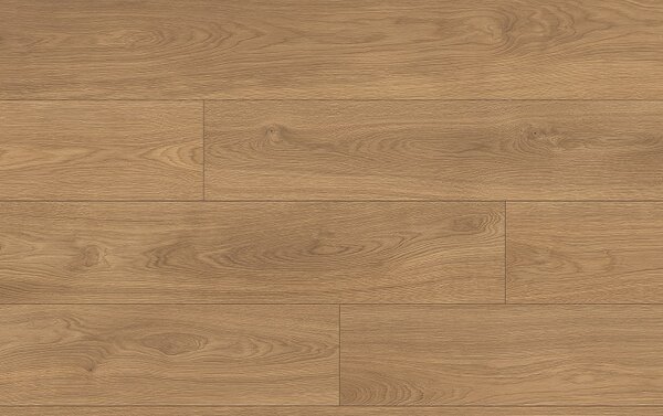 Classen Pro Nature 64637 Dub SAJO