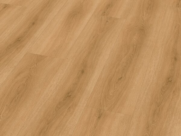 Check Comfort SPC 2509 DUB TORDERA
