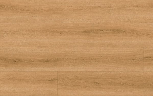 Check Comfort SPC 2509 DUB TORDERA