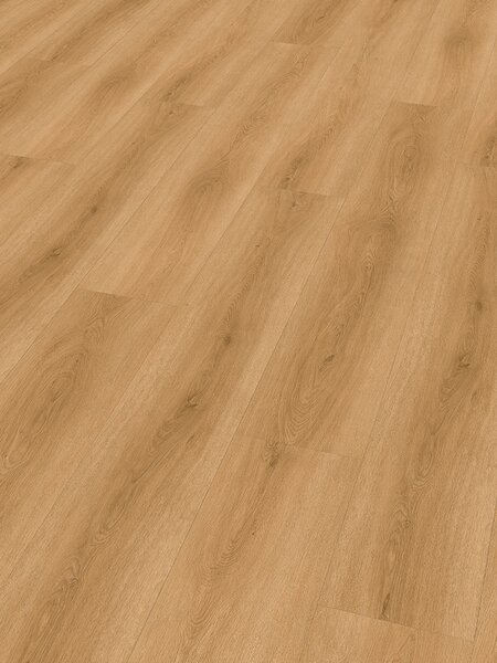 Check Comfort SPC 2509 DUB TORDERA