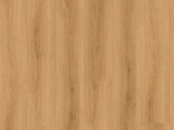 Check Comfort SPC 2509 DUB TORDERA