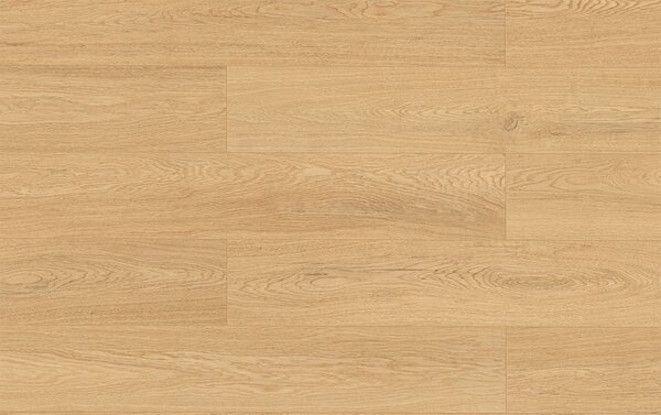 Classen Arteo Ceramin 66943 CONSTANCE