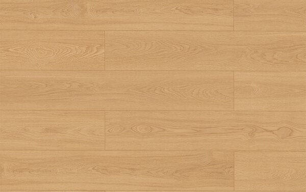 Classen Arteo Ceramin 66938 MAGGIORE