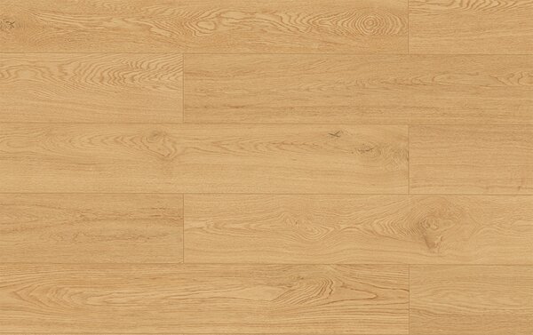 Classen Arteo Ceramin 66939 LUCERNE