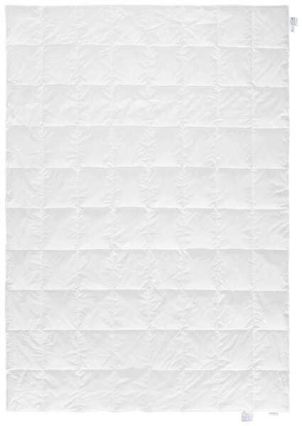 LETNÁ PRIKRÝVKA, 140/200 cm, páperie Sleeptex - Prikrývky & vankúše
