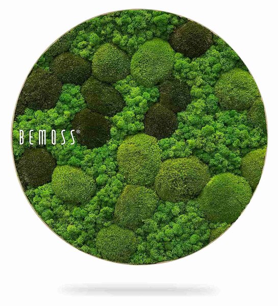 Machový obraz kruh BEMOSS® ORTHO MONETO - Priemer 40 cm
