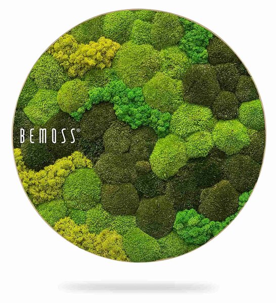 Machový obraz kruh BOLMOSS DUO Light Anento - Priemer 40 cm