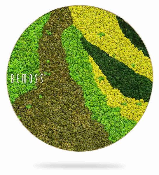 Machový obraz kruh BEMOSS® ORTHO CARROT - Priemer 40 cm
