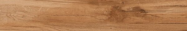 Horse Brown 20x120 R 8mm