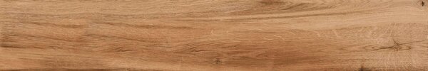 Horse Brown 20x120 R 8mm