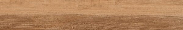 Horse Brown 20x120 R 8mm
