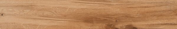 Horse Brown 20x120 R 8mm