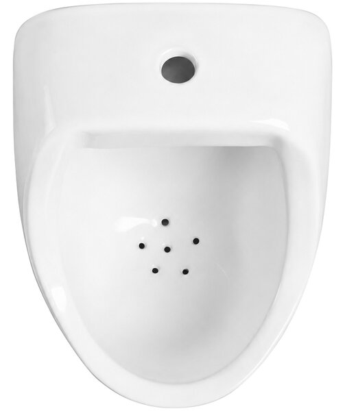 CERANO - Pisoár závesný Vulcan - manuálne splachovanie - biela lesklá - 49x29 cm