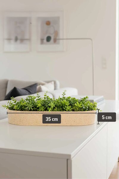Dekoratívna misa SOLENA, sklolaminát, 35x20x5 cm, béžová