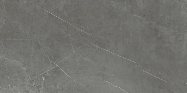 Tessino Grey Natural 60x120 R