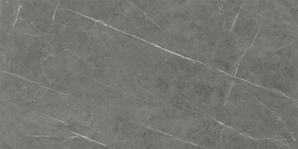 Tessino Grey Natural 60x120 R