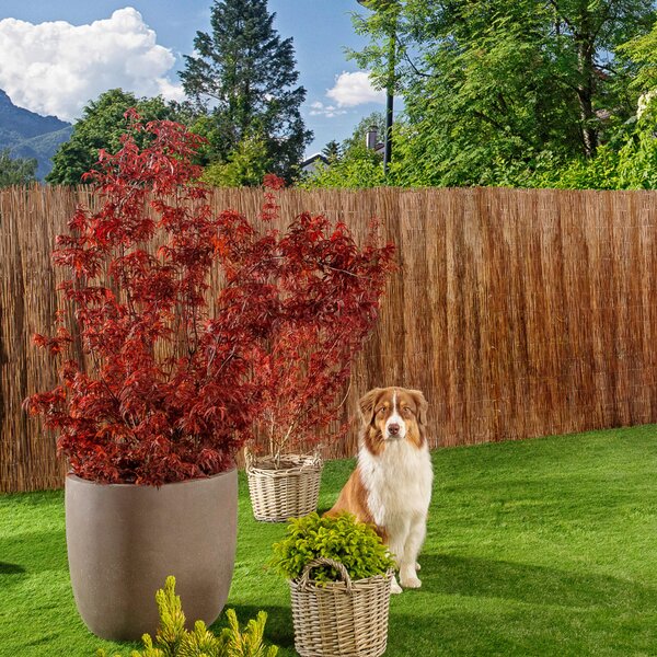 TIENIACA CLONA NA PLOT 300/90 cm - Online Only záhrada, Online Only